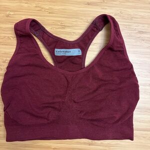 Icebreaker Wool Sports Bra M